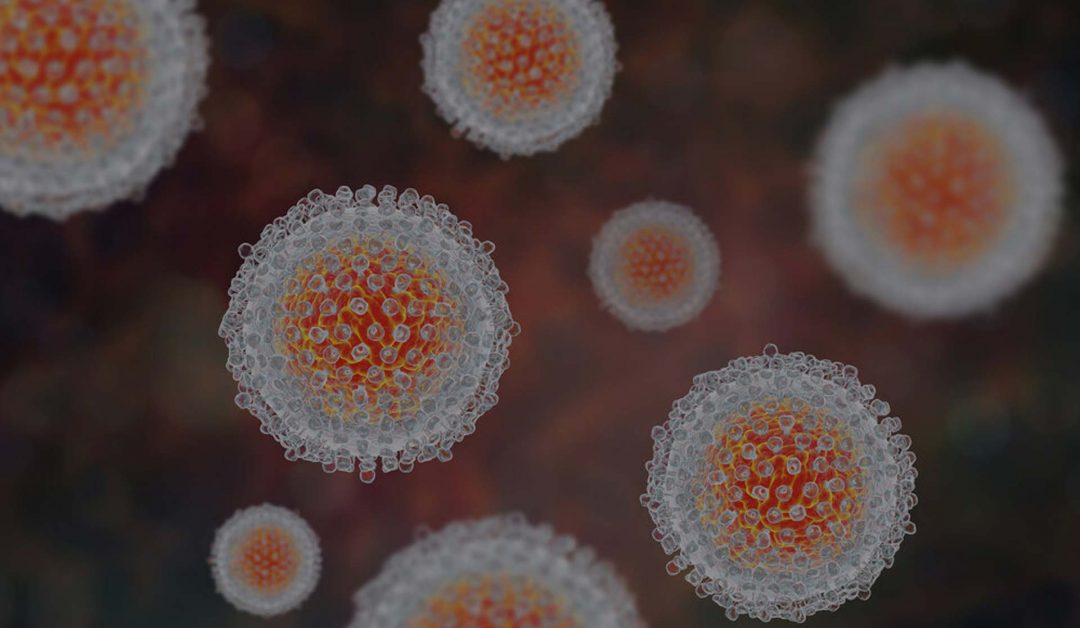 A graphic illustration of the hepatitis C virus.