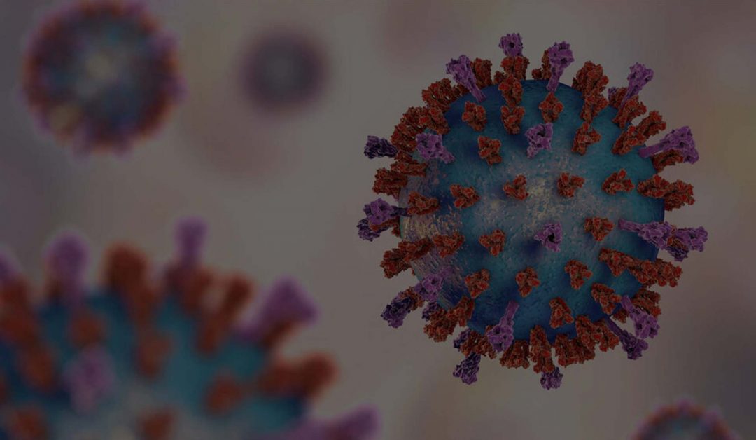 A graphic illustration of the RSV virus.