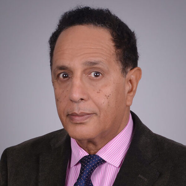 A headshot of Adel Moussa, PhD