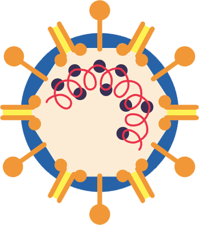 Coronaviridae Icon